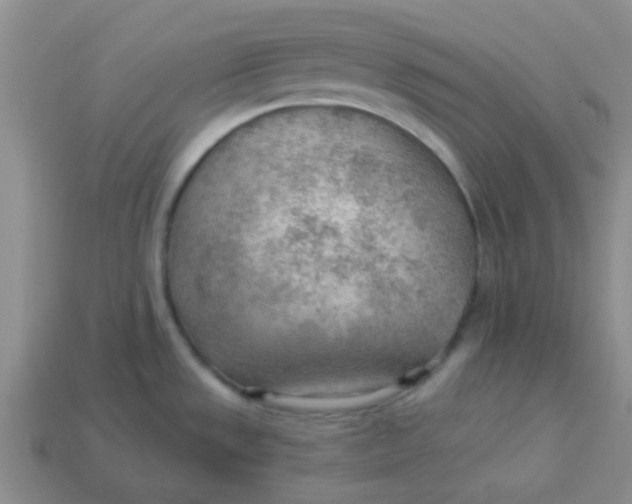 X0000113901533200910151345