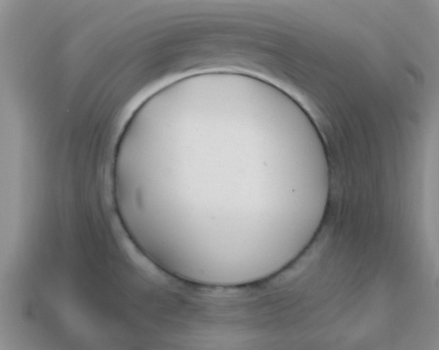 X0000113901534200910151345