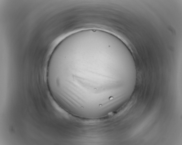 X0000113901535200910151345