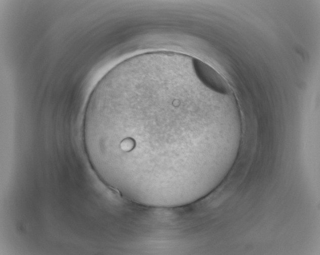 X0000113901536200910151345