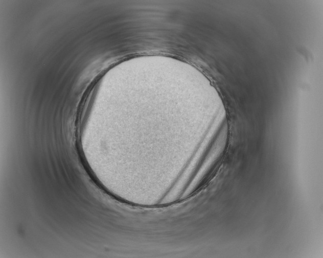 X0000113900002200910221448