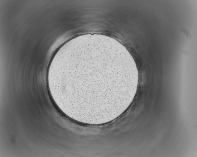 X0000113900004200910221448