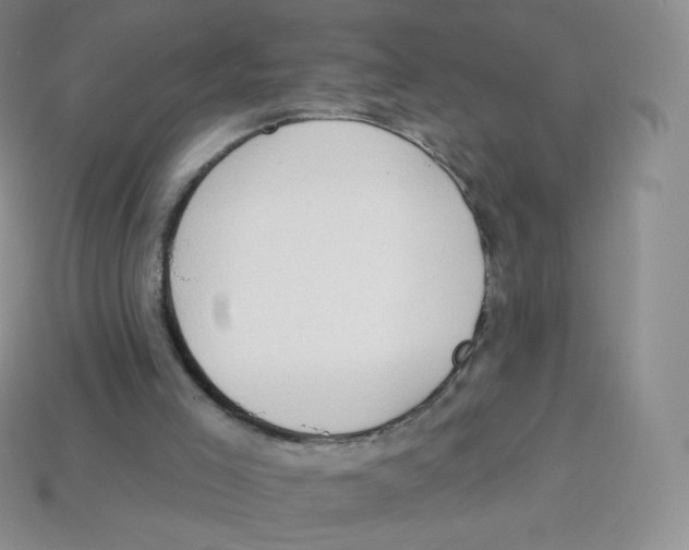 X0000113900005200910221448