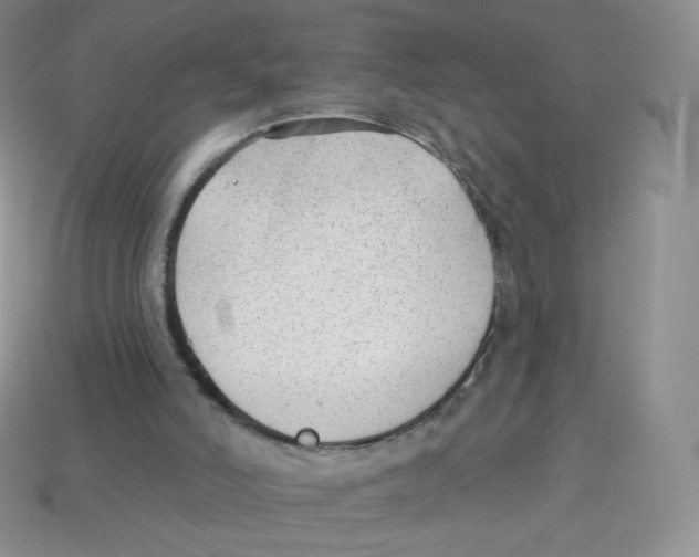 X0000113900006200910221448