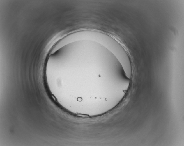 X0000113900007200910221448