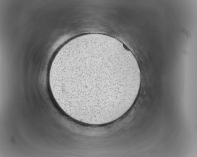 X0000113900008200910221448