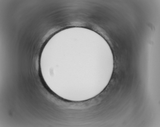 X0000113900011200910221448