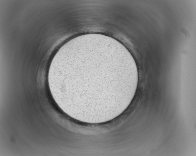 X0000113900012200910221448