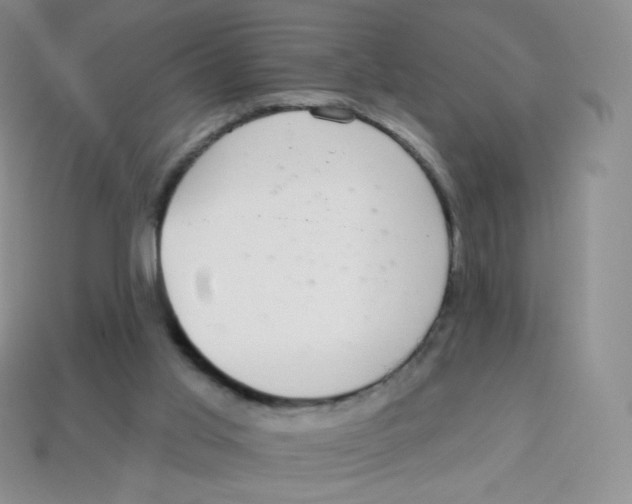 X0000113900013200910221448