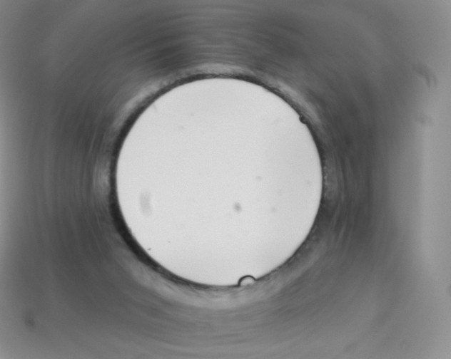 X0000113900015200910221448