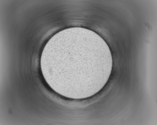 X0000113900016200910221448