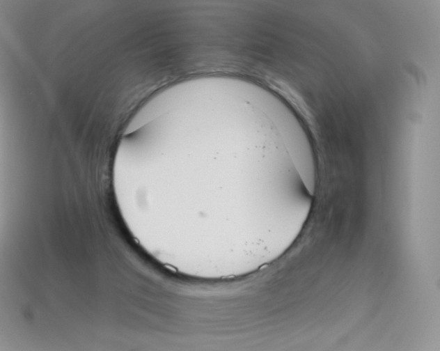 X0000113900017200910221448