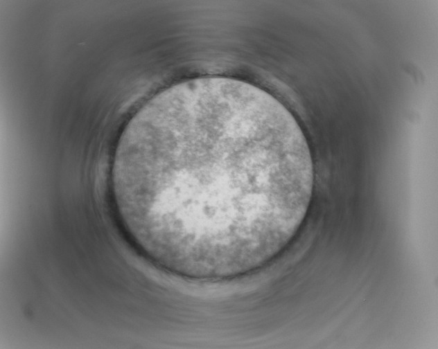 X0000113900018200910221448