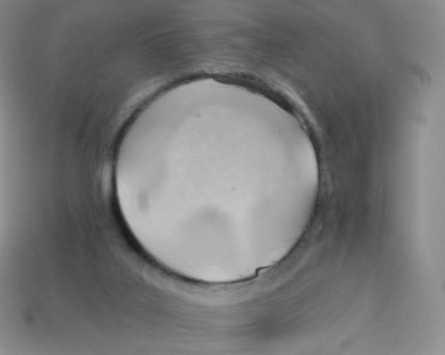 X0000113900019200910221448