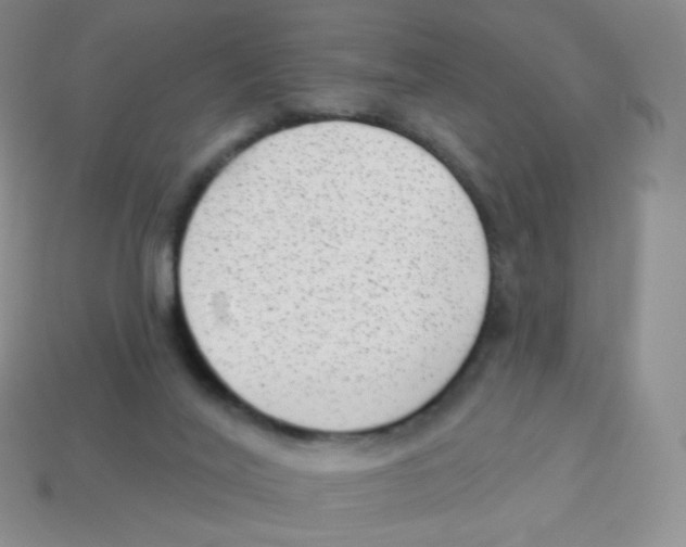 X0000113900020200910221448