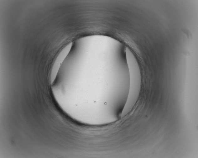 X0000113900021200910221447
