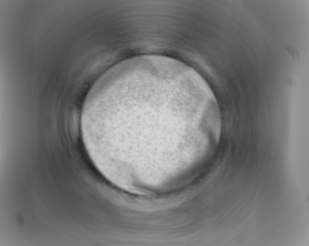 X0000113900022200910221447