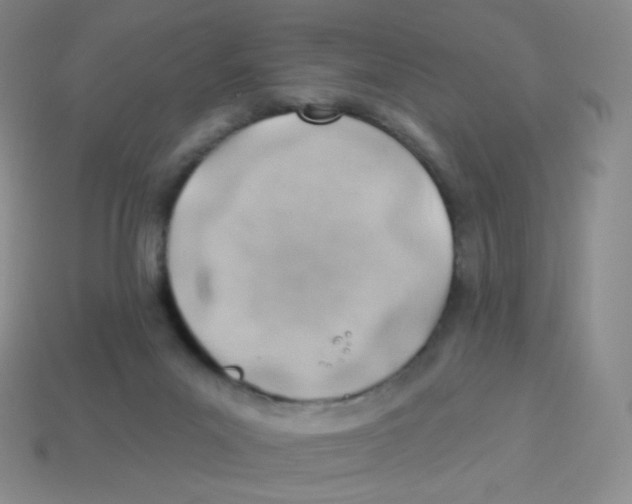 X0000113900023200910221447