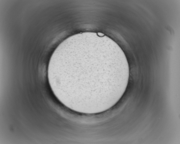 X0000113900024200910221447