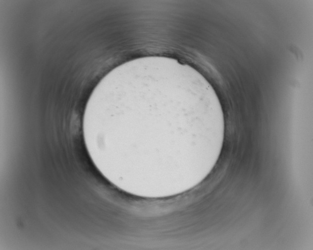 X0000113900025200910221447