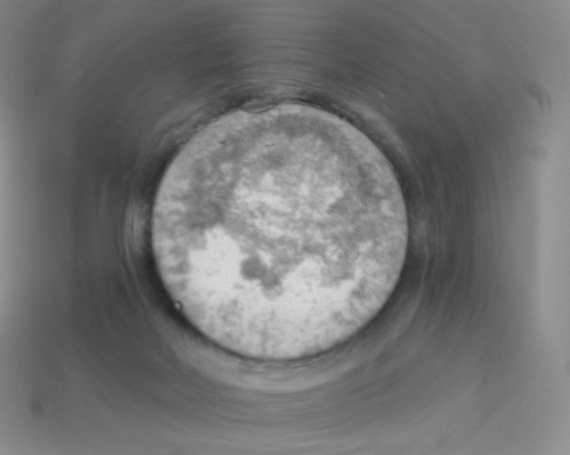 X0000113900026200910221447