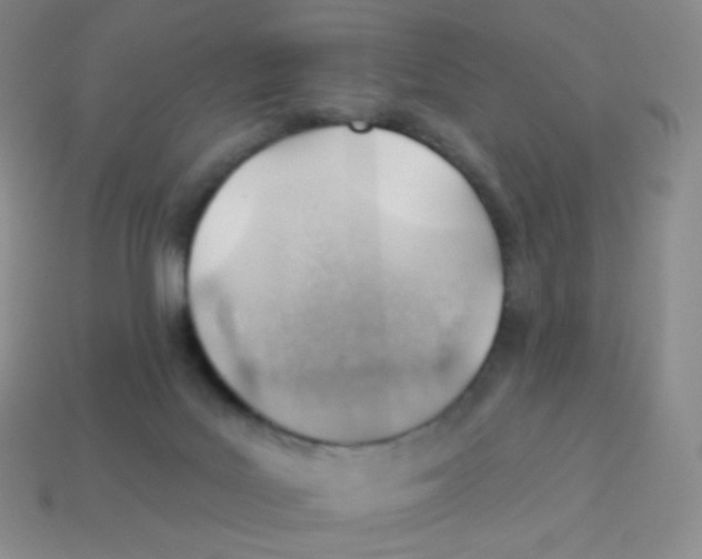 X0000113900027200910221447