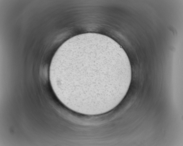 X0000113900028200910221447
