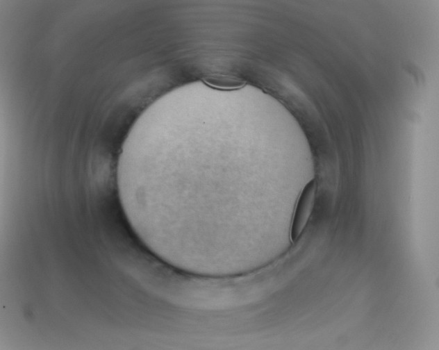 X0000113900029200910221447