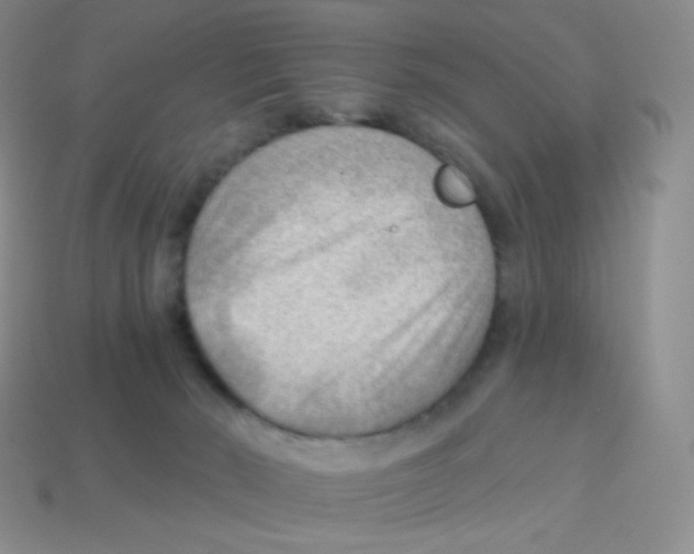 X0000113900030200910221447