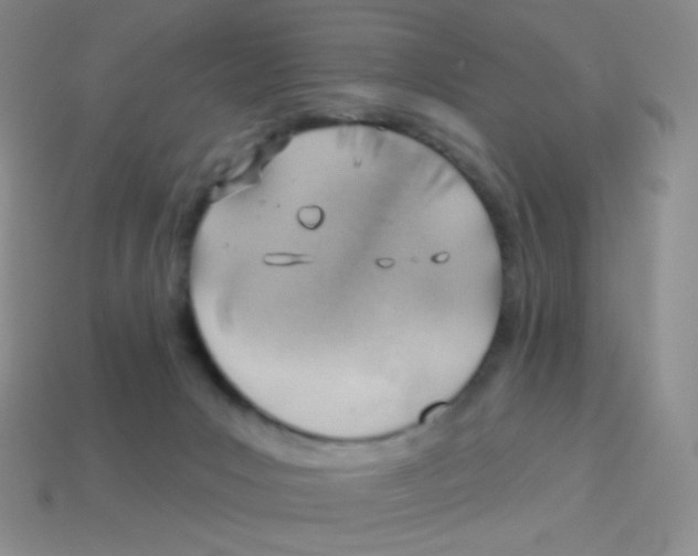 X0000113900031200910221447