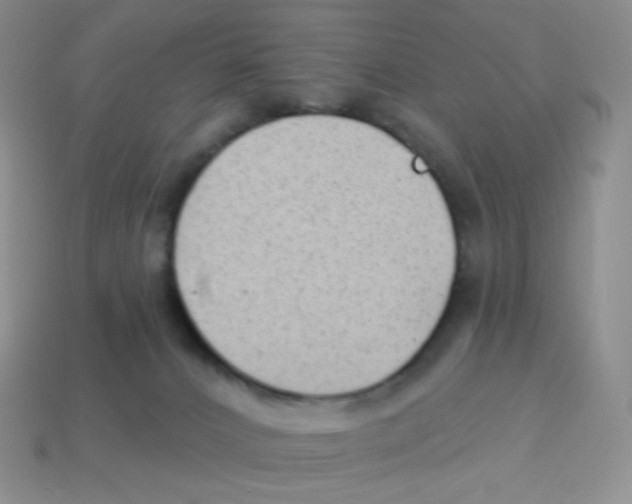 X0000113900032200910221447