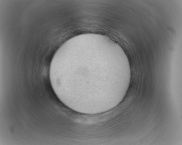 X0000113900033200910221447