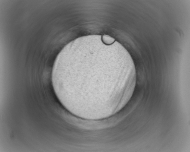 X0000113900034200910221447