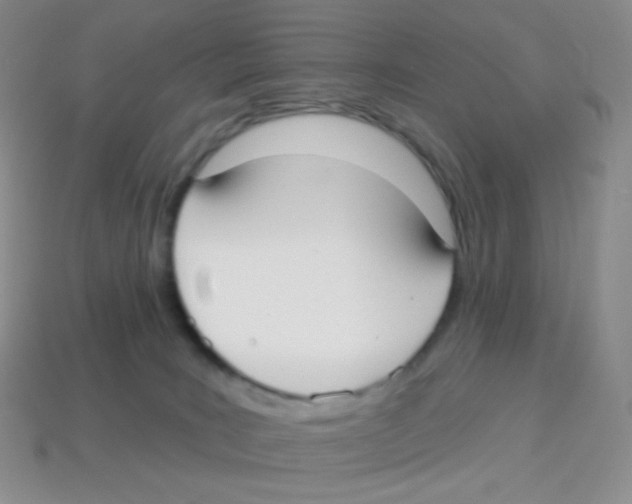X0000113900035200910221447
