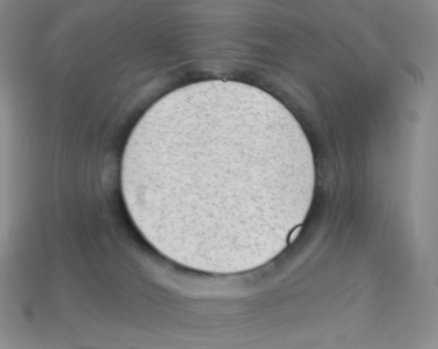 X0000113900036200910221447