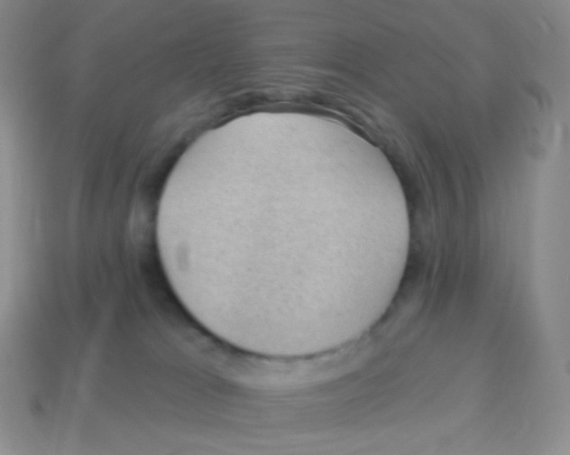 X0000113900037200910221447