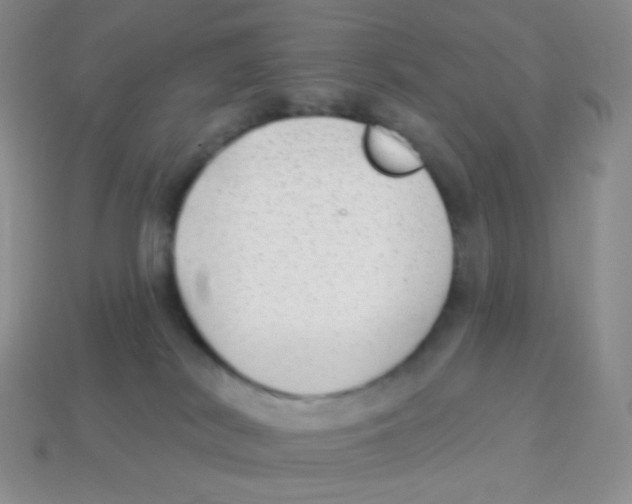 X0000113900038200910221447