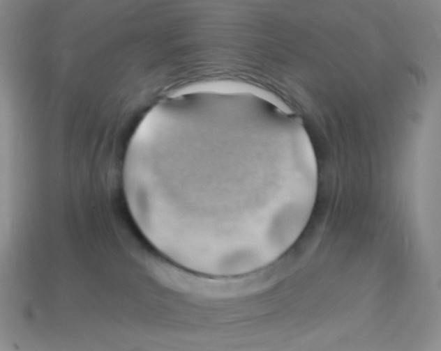 X0000113900039200910221447
