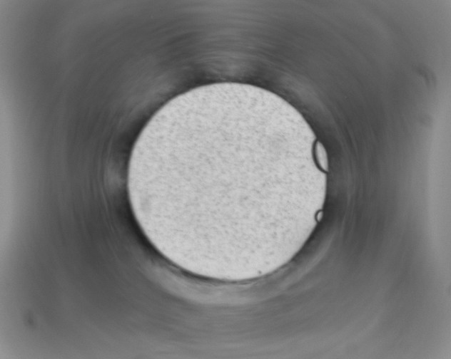 X0000113900040200910221447