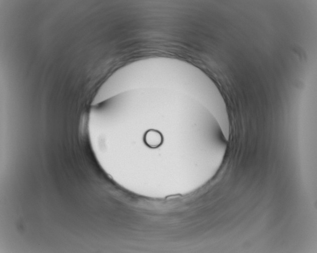 X0000113900041200910221447