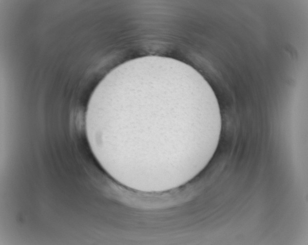 X0000113900042200910221447