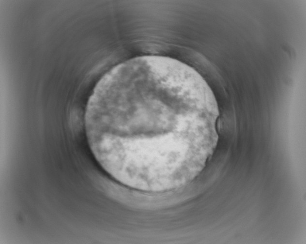 X0000113900043200910221447
