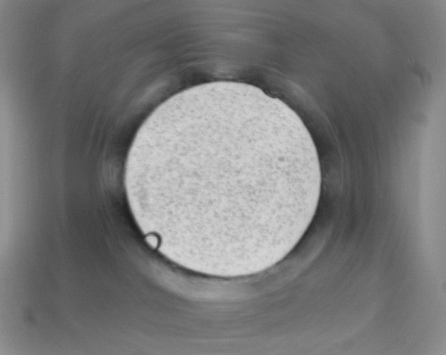 X0000113900044200910221447