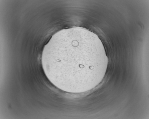 X0000113900045200910221447