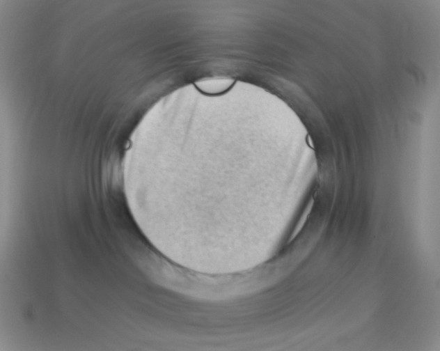 X0000113900046200910221447