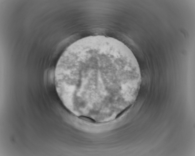 X0000113900047200910221447
