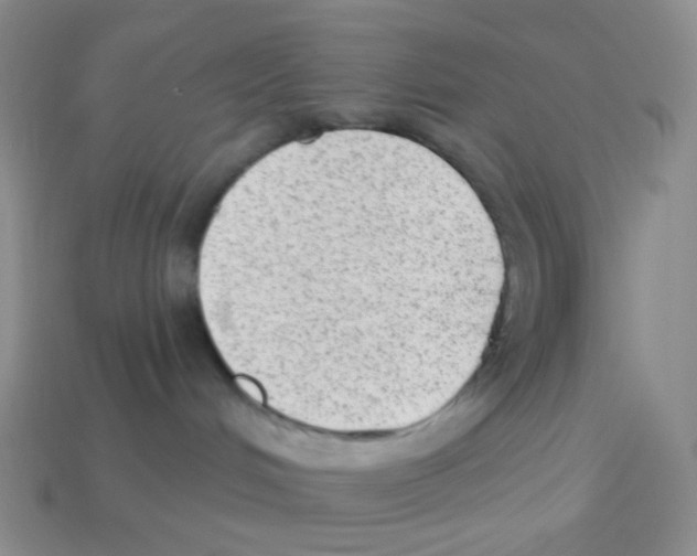 X0000113900048200910221447
