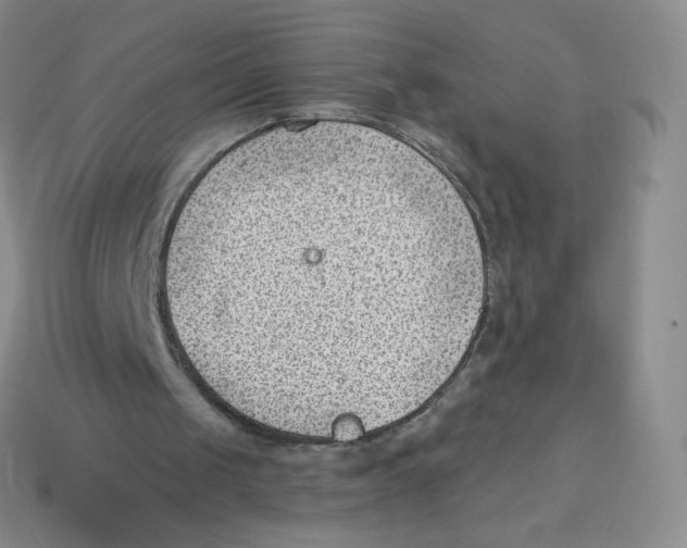 X0000113900049200910221446