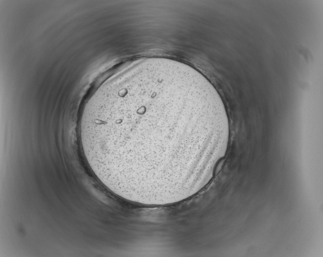 X0000113900050200910221446