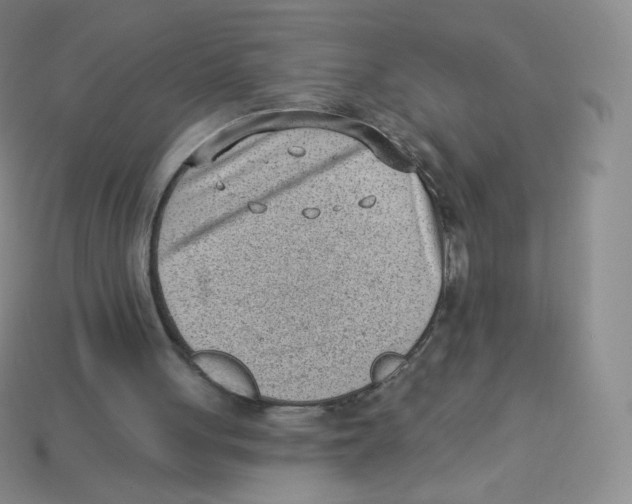 X0000113900051200910221446